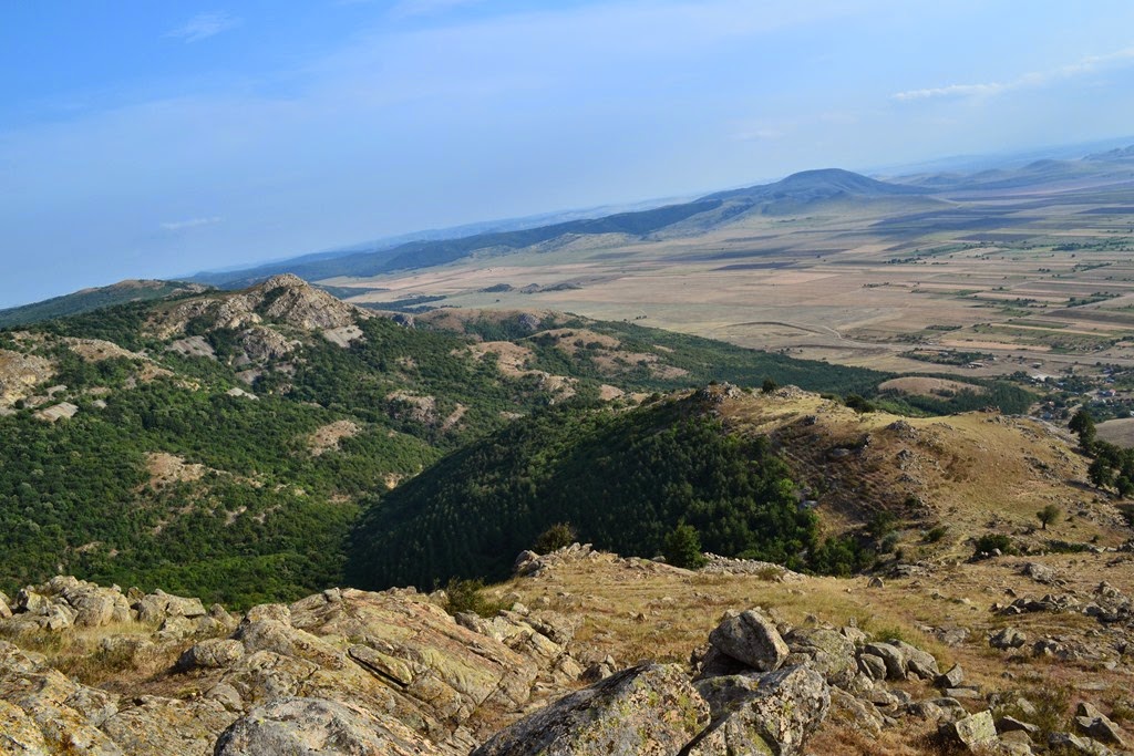 [DSC_73783.jpg]