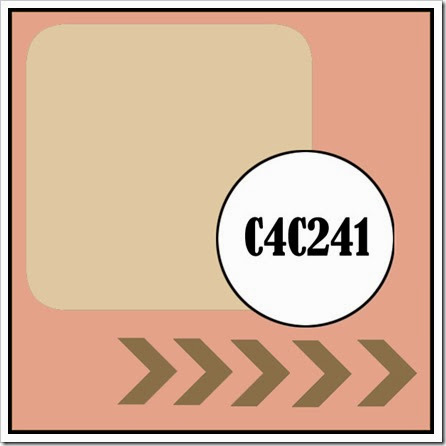 C4C241