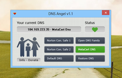 DNS-Angel MetaCart DNS