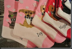 Crazy dog stockings!