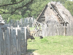 Plimoth Plant houses in need of repair 2 goats