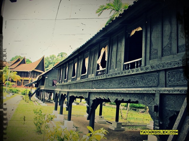 [IMG_6533%255B2%255D.jpg]