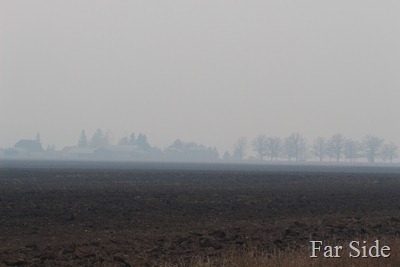 Smoky afternoon at the old farm