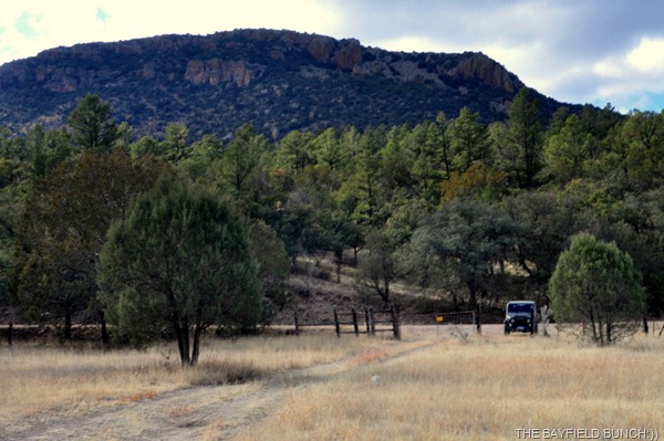 DSC_0055 DSC_0055