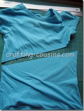 Britta Shirt (8)