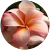 Mary-Jayne Bethell Mary-Jayne Bethell