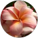 Mary-Jayne Bethell Mary-Jayne Bethell