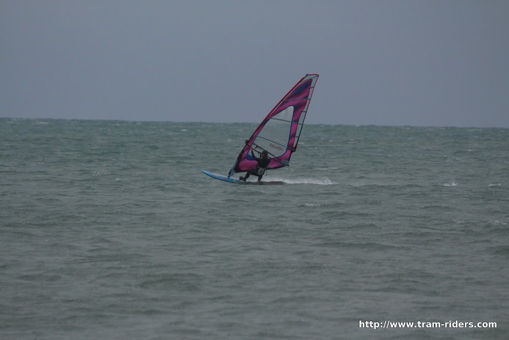 IMG_5175.JPG
