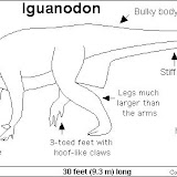 Iguanodon_bw.gif.jpg