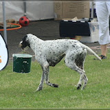 und den Eimer wegbringen