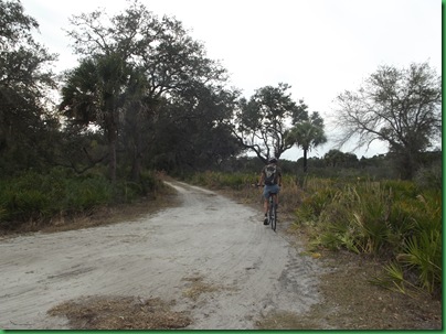 Saturday at Myakka 095