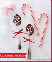Chocolate Spoons    12_jpg
