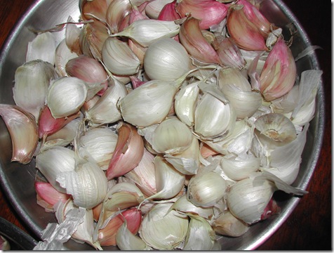 Garlic ready for planting