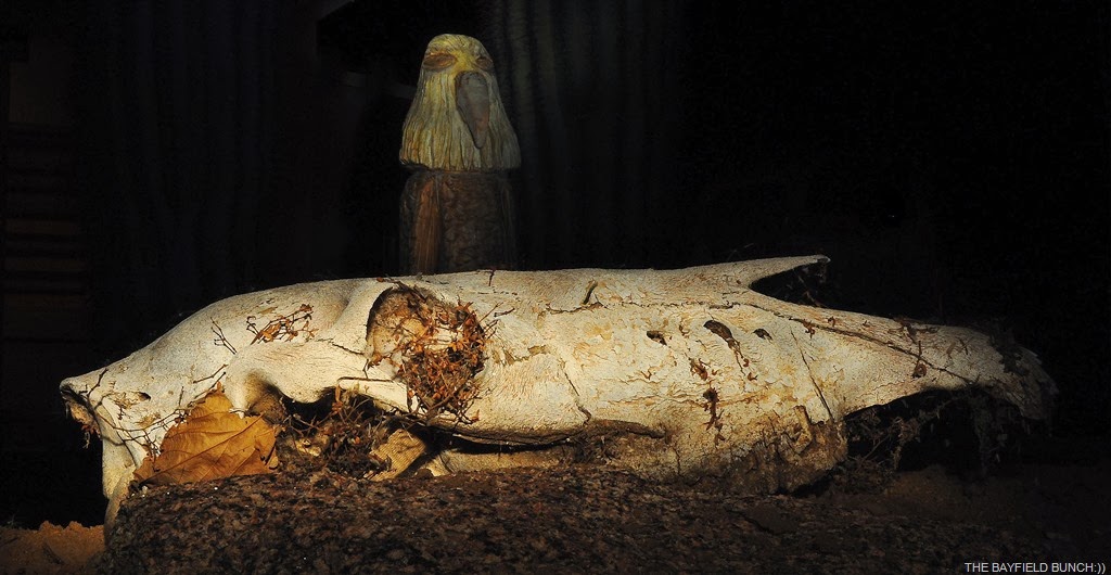 [DSC_0004%255B14%255D.jpg]