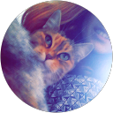 Image Google de Anaïs Tnr
