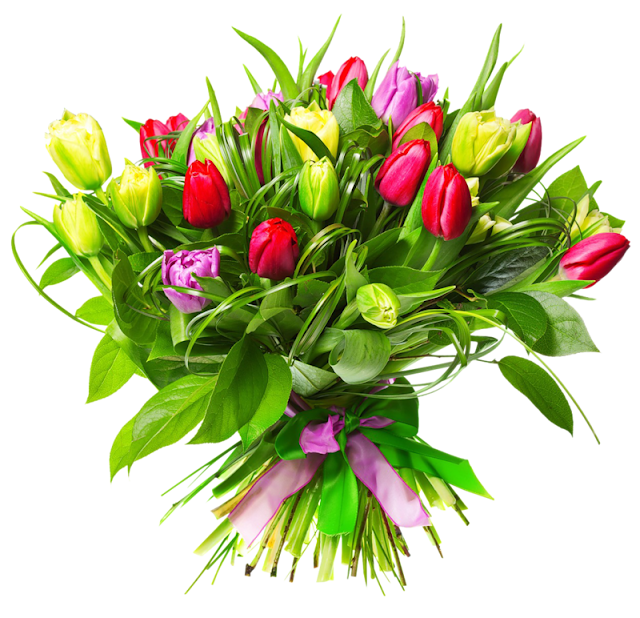 0_ea126_f0e7f88d_XL.png