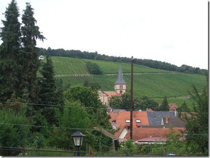 JH 15 Jul Strasburg & Alsace Wine Area 199