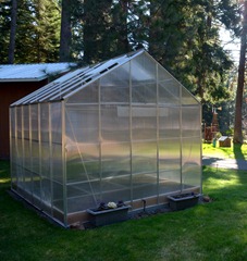 the greenhouse is ready and waiting for a new crop