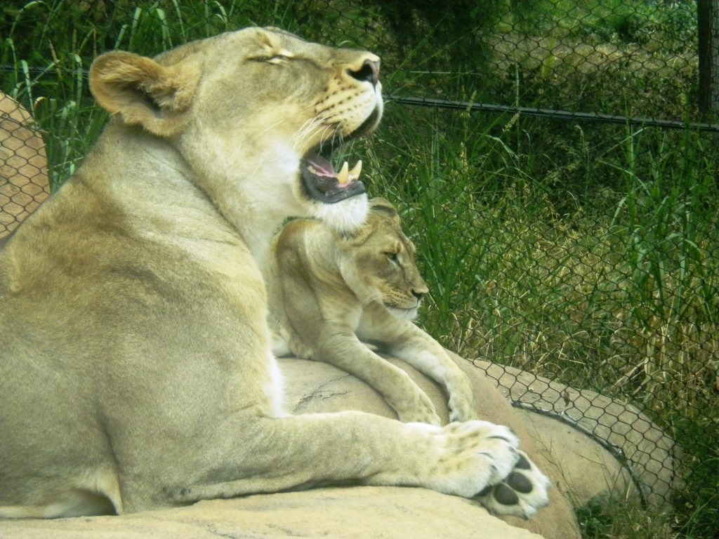 [DSCN5521%2520-%2520Kopie%255B4%255D.jpg]