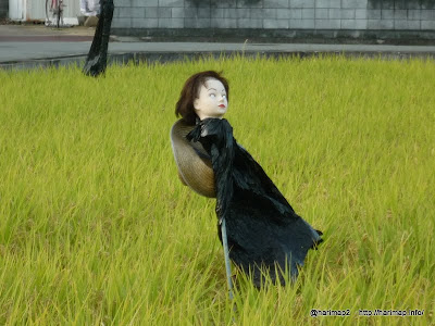 [コンプリート！] カカシ 画像 田んぼ 203649-カカシ 画像 田んぼ