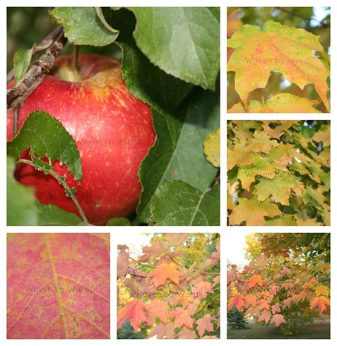 Red Leaf collage