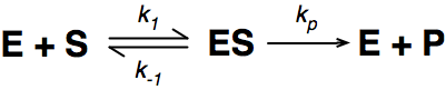 Enzymes equation