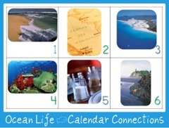 OCean Life Calendar Connections