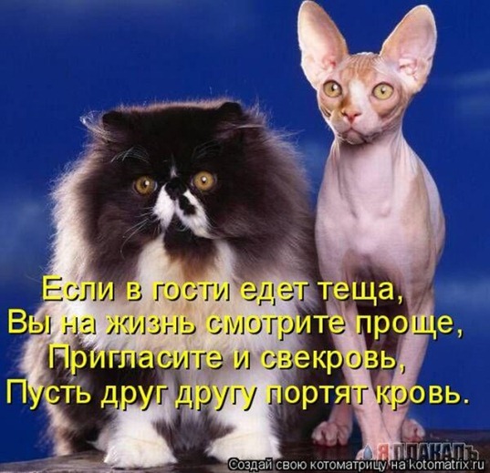 [114%255B2%255D.jpg]