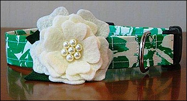 Green and white flower collar