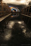 IMG_5932-001 IMG_5932-001