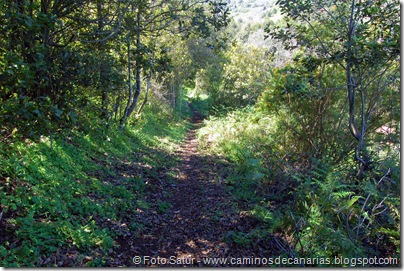 5441 La Laguna-Vueltas Acero-Firgas 5441 La Laguna-Vueltas Acero-Firgas