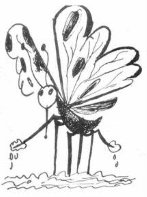 clip_image002[5]