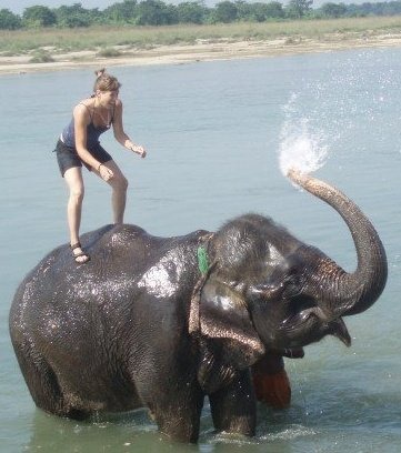 [elephant-bathing-in-chitwan-national-park%255B2%255D.jpg]