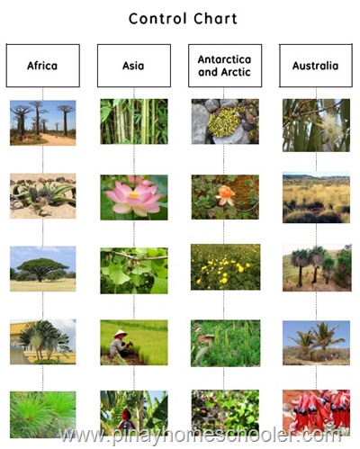 bot_leafchart