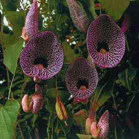 [image%255B11%255D.png]