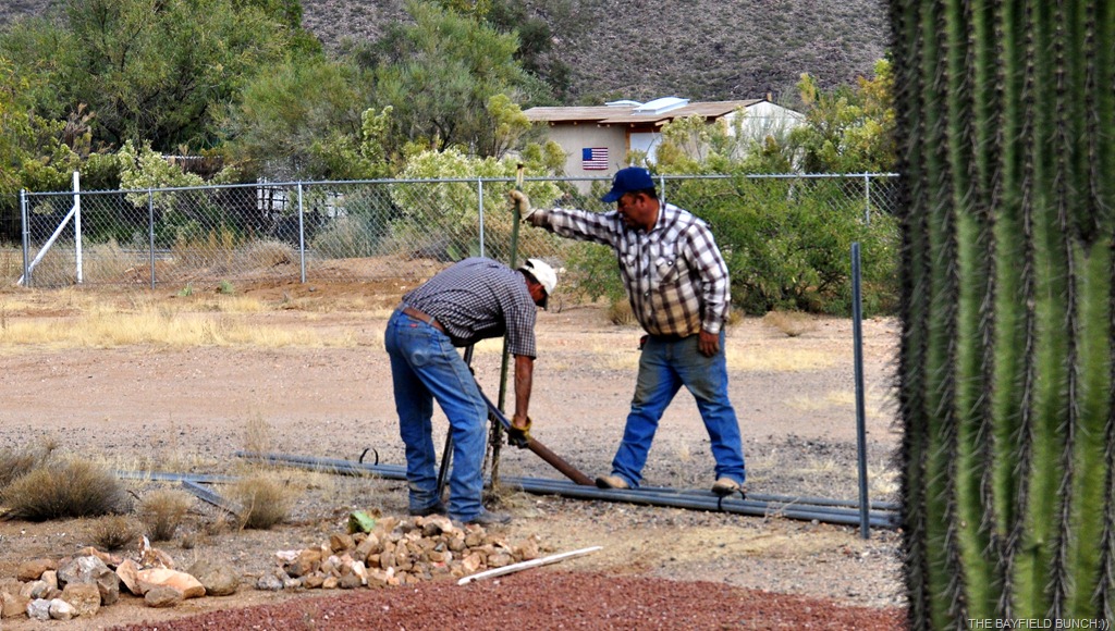 [DSC_0026%255B3%255D.jpg]