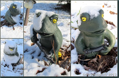 snow garden frogs