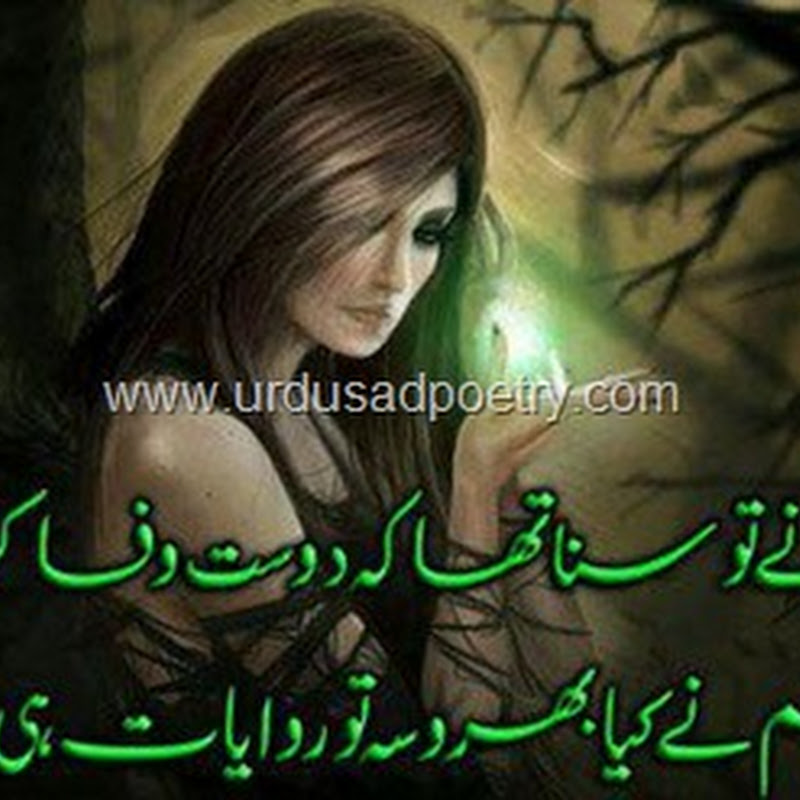 Hum Ne Suna Tha Ke Dost Wafa Karte Hain Bewafa Shayari Urdu Sad Poetry