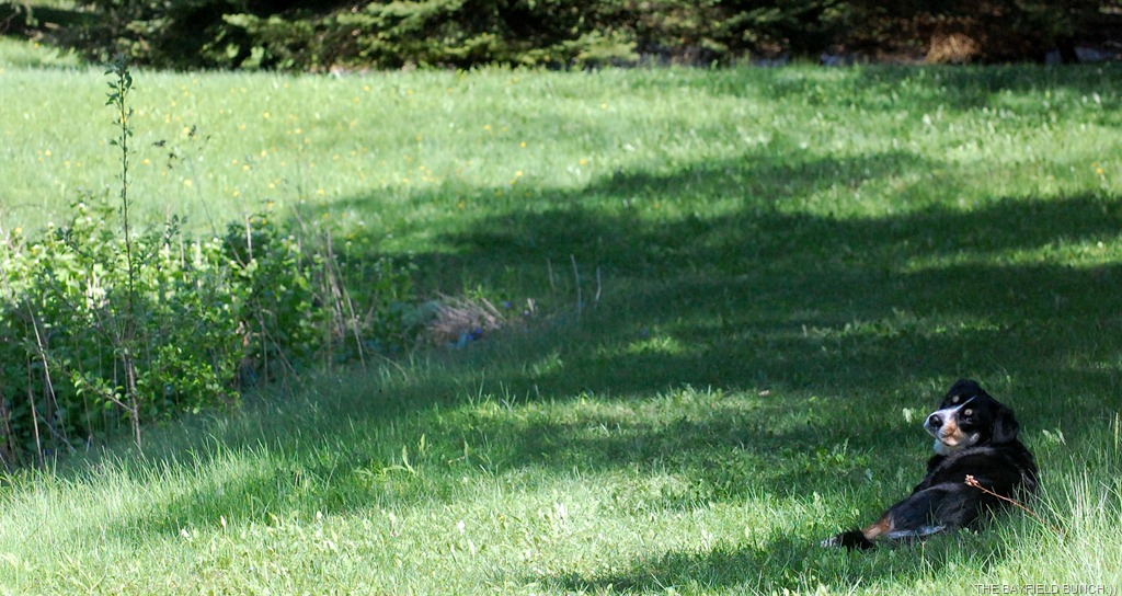 [DSC_9450%255B3%255D.jpg]