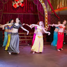 IMG_5087.jpg