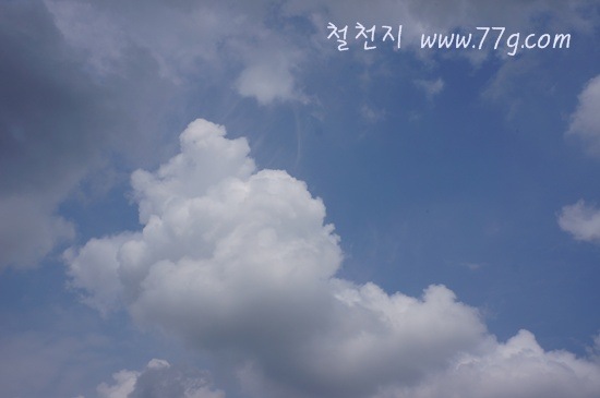 [DSC07692-20120731-1306223.jpg]