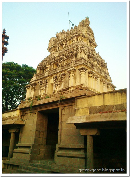 Jeenaswamy Trilokyanathar Temple : Kanchipuram Jain Temple : Gopuram