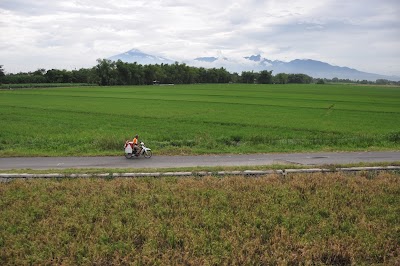 DSC_0064.JPG