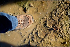 misstep in the mud