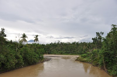 DSC_0973.JPG