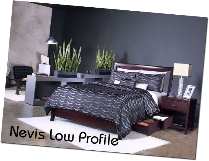 Nevis23D-Open copy Nevis23D-Open copy