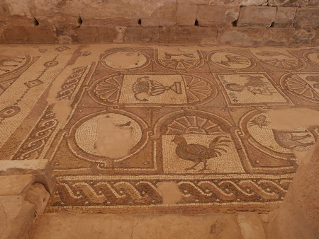 Mozaicuri - Petra