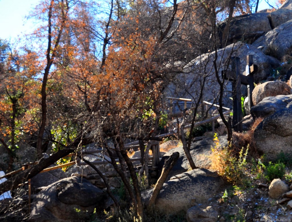 [DSC_0004%255B4%255D.jpg]