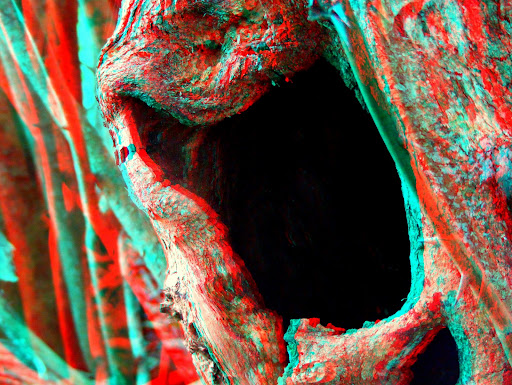 Owl Den 3D anaglyph picture