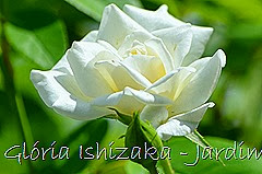 4  - Glória Ishizaka - Rosas do Jardim Botânico Nagai - Osaka